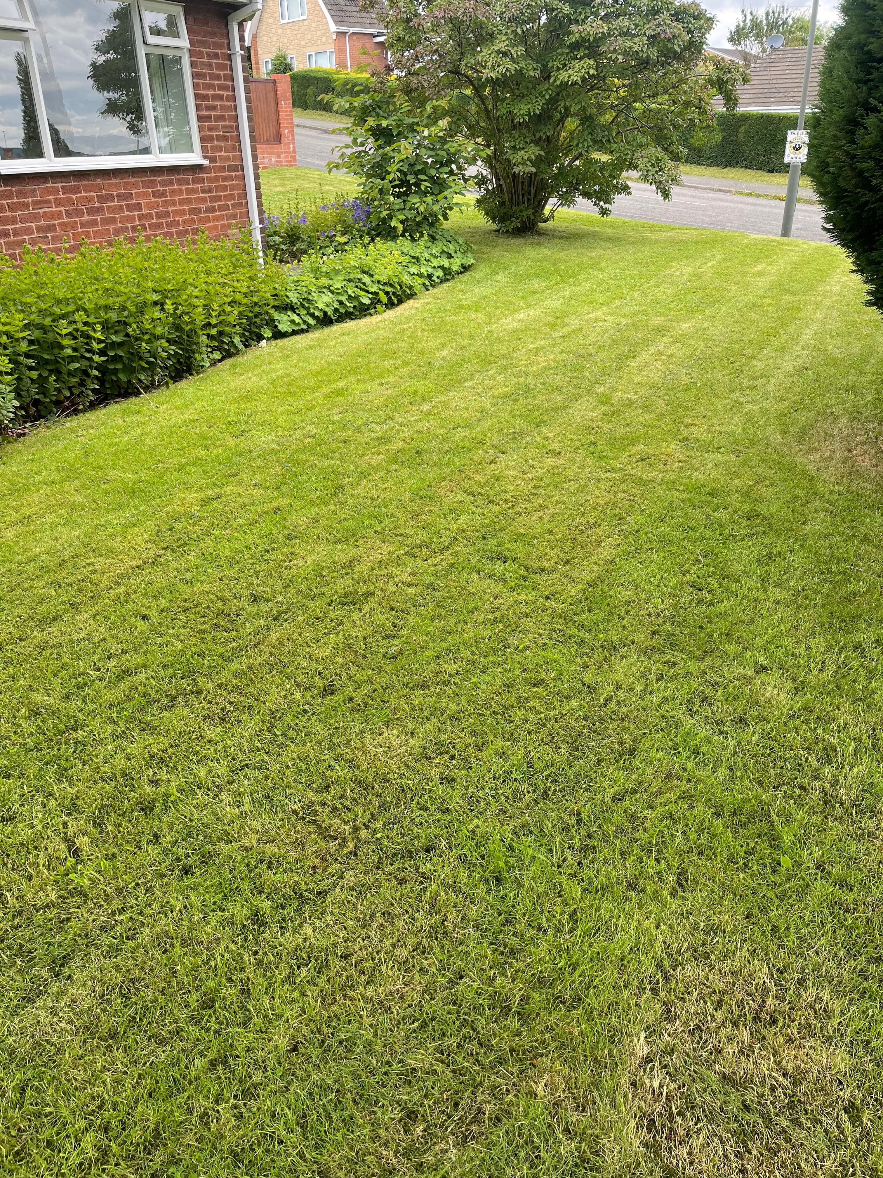 Grass Cutting Services project — Coppermill Landscapes